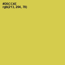 #D5CC4E - Wattle Color Image