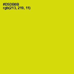 #D5DB0B - Barberry Color Image