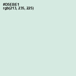 #D5EBE1 - Granny Apple Color Image