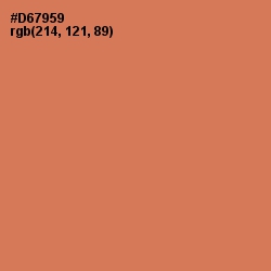 #D67959 - Raw Sienna Color Image