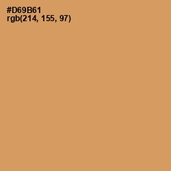 #D69B61 - Whiskey Color Image