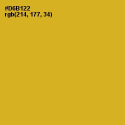 #D6B122 - Golden Grass Color Image