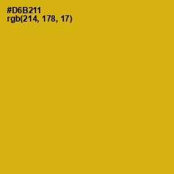 #D6B211 - Gold Tips Color Image