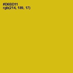 #D6BD11 - Gold Tips Color Image
