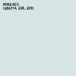 #D6E4E5 - Swans Down Color Image