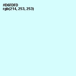 #D6FDFD - Foam Color Image