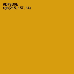 #D79D0E - Pizza Color Image