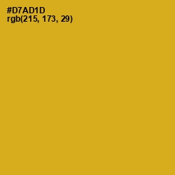 #D7AD1D - Gold Tips Color Image