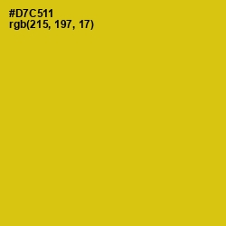 #D7C511 - Bird Flower Color Image