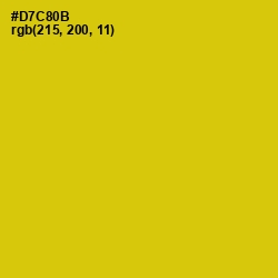#D7C80B - Bird Flower Color Image