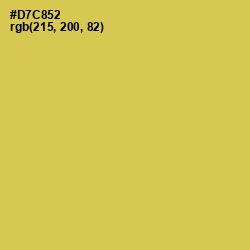 #D7C852 - Wattle Color Image
