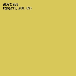 #D7C859 - Wattle Color Image