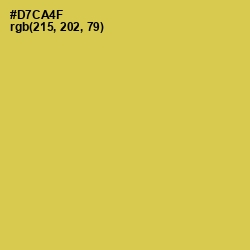 #D7CA4F - Wattle Color Image