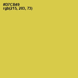 #D7CB49 - Wattle Color Image