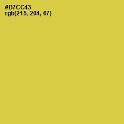 #D7CC43 - Wattle Color Image