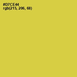 #D7CE44 - Wattle Color Image