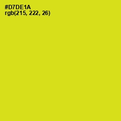 #D7DE1A - Barberry Color Image