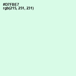 #D7FBE7 - Granny Apple Color Image