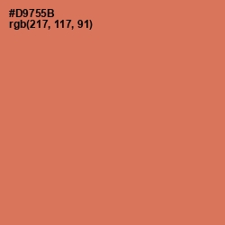 #D9755B - Raw Sienna Color Image