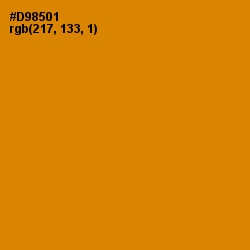 #D98501 - Geebung Color Image