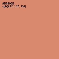 #D9896E - Copperfield Color Image