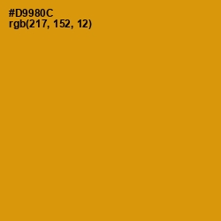 #D9980C - Pizza Color Image