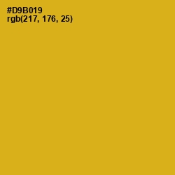 #D9B019 - Gold Tips Color Image