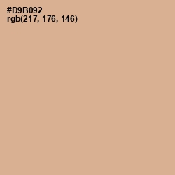 #D9B092 - Cameo Color Image
