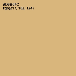 #D9B67C - Apache Color Image