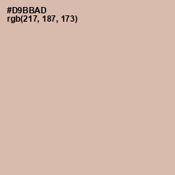 #D9BBAD - Clam Shell Color Image