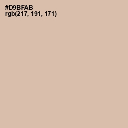 #D9BFAB - Vanilla Color Image