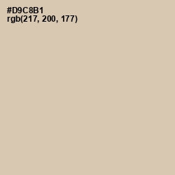 #D9C8B1 - Soft Amber Color Image