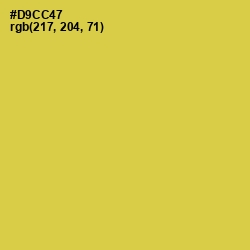 #D9CC47 - Wattle Color Image