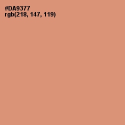 #DA9377 - Burning Sand Color Image