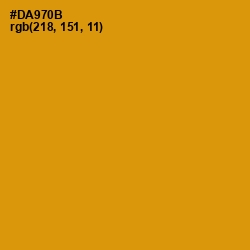 #DA970B - Pizza Color Image