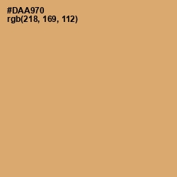 #DAA970 - Apache Color Image