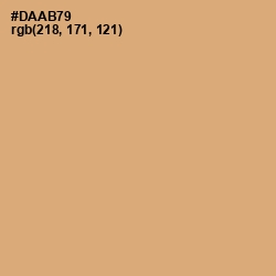 #DAAB79 - Apache Color Image