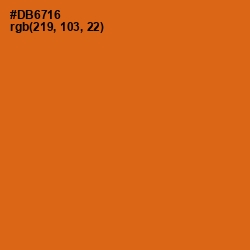 #DB6716 - Hot Cinnamon Color Image