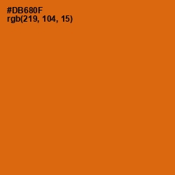 #DB680F - Bamboo Color Image