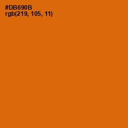 #DB690B - Bamboo Color Image