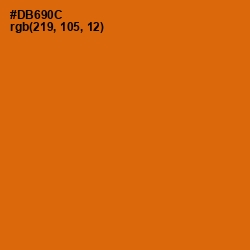 #DB690C - Bamboo Color Image