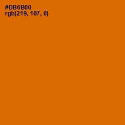 #DB6B00 - Bamboo Color Image