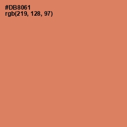 #DB8061 - Copperfield Color Image