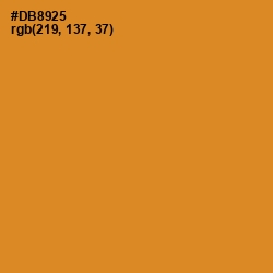 #DB8925 - Brandy Punch Color Image