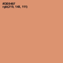 #DB946F - Whiskey Color Image