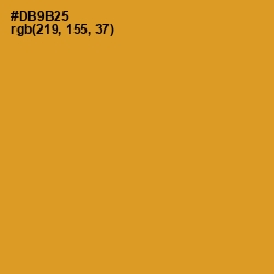 #DB9B25 - Nugget Color Image