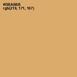 #DBAB6B - Apache Color Image