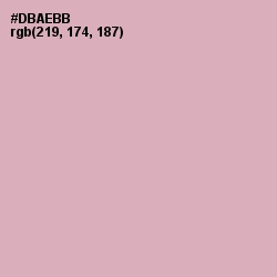 #DBAEBB - Blossom Color Image