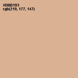 #DBB193 - Cameo Color Image