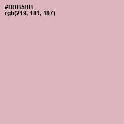 #DBB5BB - Blossom Color Image